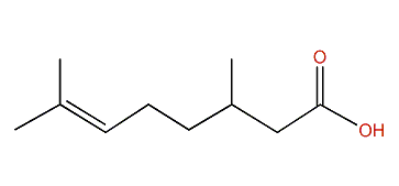 3,7-Dimethyl-6-octenoic acid